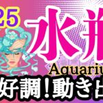 【水瓶座⭐️2025年1月】時代の星座を生きる！絶好調☆動き出す！【タロット/運勢リーディング】