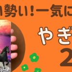 【山羊座】2025年2月♑️すごい勢い‼️夢や願いに一気に進む❗️障害を乗り越えて動きだす✨✨