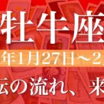 【おうし座】週間リーディング（2025年1月27日〜2月2日）♉️いきなり出現、好転の流れ。つかみどころが見えて来る。