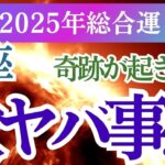 【魚座】2025年うお座の未来を照らす星とカードの導き！魚座の総合運を徹底解説