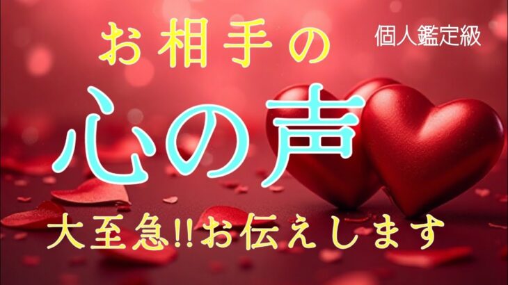 【※ガチ】お相手の心の声😳大至急‼️お伝えします❤️恋愛タロット占い