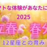 2/3立春から春分へ：2025年最高のスタートをつくる水瓶座・魚座・牡羊座の物語