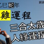 2025年肖雞運程 | 太歲三合  | 三合 金匱 將星 地解| 劉鎮鋒生活頻道