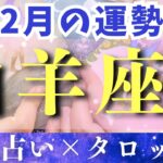 【2月運勢 山羊座】やぎ座さん神展開来てるよ！焦らなくて大丈夫だからね💕【占い・タロット・占星術・2025】