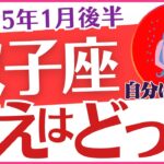 【双子座】2025年1月後半のふたご座の運命を紐解く🔮癒しと成長のヒント💡「答えはどっち❓」