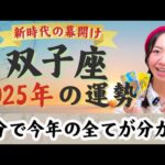 マジで人生変わる！大激変の年【双子座2025年の運勢】革命を起こすくらいの勢いがある！リセットとスタートを打ちかませー！