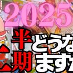 【新年から怒涛】2025年。今後起こることを占ったらガチで信じられない展開の連続で頭を抱えるレベルの結果が出てしまいました……【2025年の運勢を本気で占います】