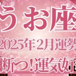 【うお座】2月運勢　悪縁を断ち、運気強制リセットへ🌈ガラッと変わります✨幸運の鍵は、うまくいくって信じること【魚座 ２月】タロットリーディング