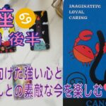 【蟹座】♋️⭐️1月後半⭐️推しさんとの素敵な時間が訪れそうな力強い運気です。やってくる浄化へ向けて心も強くして準備していこう＃蟹座　＃かに座　 ＃推し活 ＃タロット