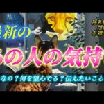 【徹底深掘り❗️】これが最新のあの人の気持ち💗今この瞬間のリアルな本音🩷未来の変化と行動、お2人のご縁も視ます✨個人鑑定級　透視タロット占い