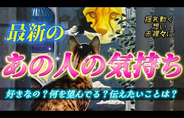 【徹底深掘り❗️】これが最新のあの人の気持ち💗今この瞬間のリアルな本音🩷未来の変化と行動、お2人のご縁も視ます✨個人鑑定級　透視タロット占い