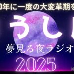 【ラジオ】✨2025年牡牛座の星物語✨年間ホロスコープを完全解説🌈＃おうし座＃星読み＃占い