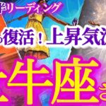 牡牛座 1月後半【運気も人気も急上昇！今こそ貪欲であれ、愚かであれ】ふっ切れた時にミッションが見つかる　　　おうし座　2025年１月運勢　タロットリーディング