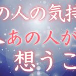 【恋愛タロット】あの人の気持ち🌷今あの人が想うこと🧐🩷🩷【タロットオラクルルノルマンリーディング】