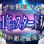 【双子座🔮1月の運勢】今月ヤバすぎる。霊視で判明した事実に驚愕間違いなし。