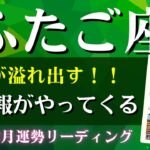 双子座さん♊2025年2月の運勢✨やったー！喜びが溢れ出す！！吉報がやってくるよ！！【全体運・仕事/人間関係/金運・アドバイス・星読み】タロット占い＆占星術