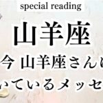 【山羊座♑︎】お好きなタイミングで受け取って下さい⭐︎山羊座さんにメッセージ届きました。