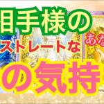 [大興奮‼️]あの人の超ドスレートな今の気持ち💕嬉しすぎ要注意‼️タロット