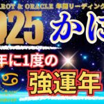 【かに座♋2025年の運勢】12年に1度の大幸運期！🌈Cancer 2025🦄蟹座 2025年運勢✨タロットリーディング