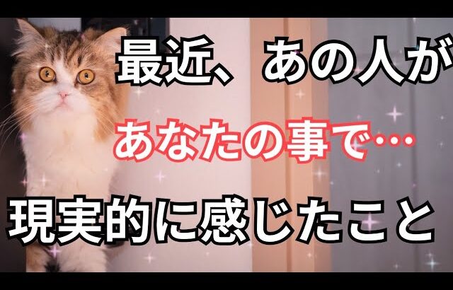 あの人のリアルな声。あなたへの想い🫨怖いくらい当たる❤️恋愛タロット占い ルノルマン オラクルカード細密リーディング