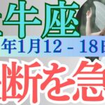 【牡牛座】必見！2025年1月12日の週 金運アップの可能性を高めるためには？ おうし座 今週の運勢をタロットと占星術で完全解説！恋愛運・仕事運・金運 週間運勢