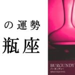 【水瓶座🫧2月の運勢】新展開あり✨運気急上昇の流れがキテル⭐️2025年タロット占い