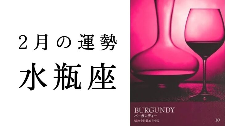 【水瓶座🫧2月の運勢】新展開あり✨運気急上昇の流れがキテル⭐️2025年タロット占い