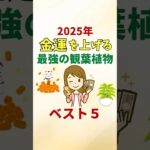 【2025年金運アップ】最強の観葉植物ベスト5を風水アドバイザーがご紹介#shorts