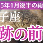 【2025年1月後半の双子座の運勢】星とタロットで読み解く恋愛運・金運・健康運・仕事運