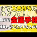 【手相占い】大金運がある人の手相と、起業しないとダメになってしまう才能に溢れた人の手相【手相家　西谷泰人　ニシタニショーVol.213】