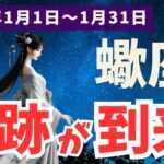 【蠍座】2025年1月のさそり座の運勢が驚きの展開に！希望の光が見える時