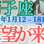 【獅子座】必見！2025年1月12日の週 金運に意外なチャンス？ しし座 今週の運勢をタロットと占星術で完全解説！恋愛運・仕事運・金運 週間運勢