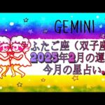 ふたご座（双子座)・2025年2月の運勢｜今月の星占い.