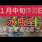 １月中旬(11-20日)水瓶座 全体 恋愛(両思い、片思い、好きな人居ない方別) 起こること！  ２択リーディング