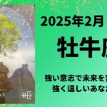 【牡牛座】強い意志で未来が変わります！ドンと構えて幸せを迎えて！！【おうし座2025年2月1〜15日の運勢】