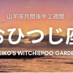 ✨おひつじ座さん✨山羊座月間後半２週間タロットリーディング♈️