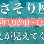 【さそり座】週間リーディング（2025年1月20日〜1月26日）♏️奥深くに答えが見える。