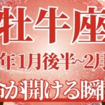 【おうし座】1月後半運勢　開運、運命が開ける瞬間へ🌈幸運の鍵は、やりたいことに挑戦すること【牡牛座 １月】タロットリーディング