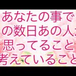 【恋愛タロット】あなたのことでこの数日あの人が思ってる事、考えている事🩷【タロットオラクルルノルマンリーディング】