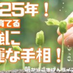 【手相】2025年！最強に幸運な手相！| 開運のコツ | 手相占い