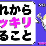 タロット占い・もうすぐハッキリすること⚠️あなたの未来に何が起こるかタロットカードとルノルマンカードで全力リーディング🧅🪺見た時がタイミング🦸‍♀️