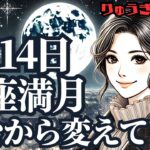 【緊急配信】2025年1月14日（火）蟹座満月🌕土台を変えていく時🍃深いバランスが求められて🍀西洋占星術😋