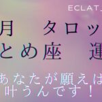 星座占い✨1月運勢【おとめ座さん】タロット前向きリーディング‼︎全辛い人に見てほしい😭あなたはスター🌟なんだよ