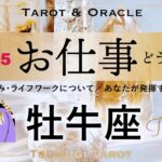 【牡牛座♉️2025年お仕事運】挑戦するなら今です㊗️驚愕レベルのご褒美を引き寄せる一年に🕊️