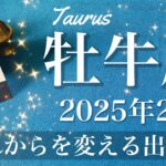 【おうし座】2025年2月♉️ 心が決まる出会い、答えが見つかる、安らかな調和、長年の探し物を見つける喜び