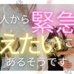 緊急にあなたに伝えたい💝お相手動き出しています🌈恋愛・復縁・サイレント・複雑恋愛【タロット・オラクル・ルノルマン】