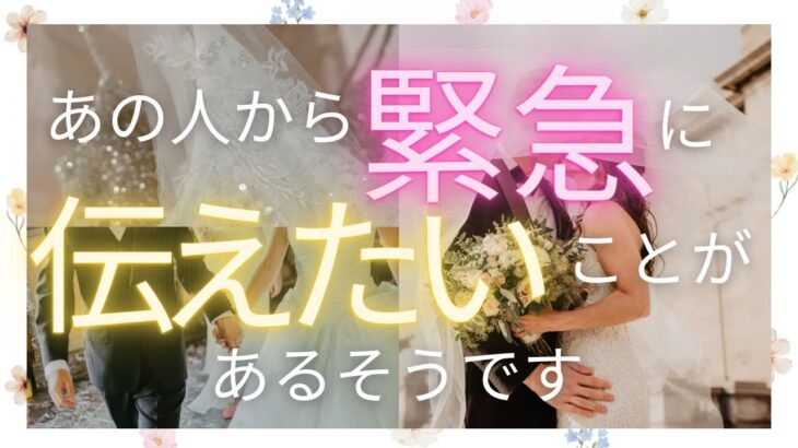 緊急にあなたに伝えたい💝お相手動き出しています🌈恋愛・復縁・サイレント・複雑恋愛【タロット・オラクル・ルノルマン】