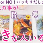 【⚠️YES or NO❗️】今私の事が好きな人いますか？タロット、タロット占い、恋愛