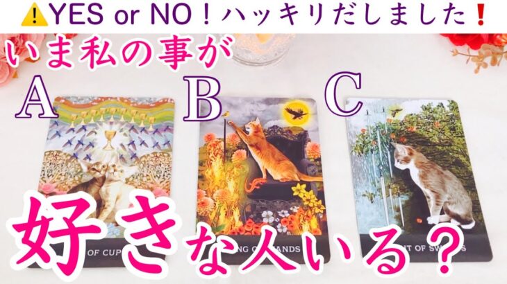 【⚠️YES or NO❗️】今私の事が好きな人いますか？タロット、タロット占い、恋愛