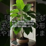 金運が3倍に!? 風水で選ぶ観葉植物 #short #shorts